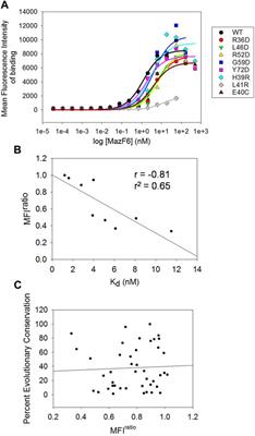 Rapid Identification of Secondary Structure and Binding Site Residues in an Intrinsically Disordered Protein Segment